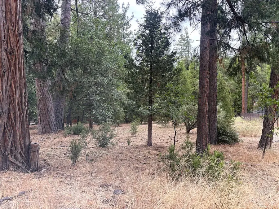 54218 Marian View, Idyllwild, CA 92549 - #3