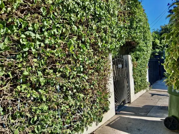10328 Hickory Street, Los Angeles, CA 90002