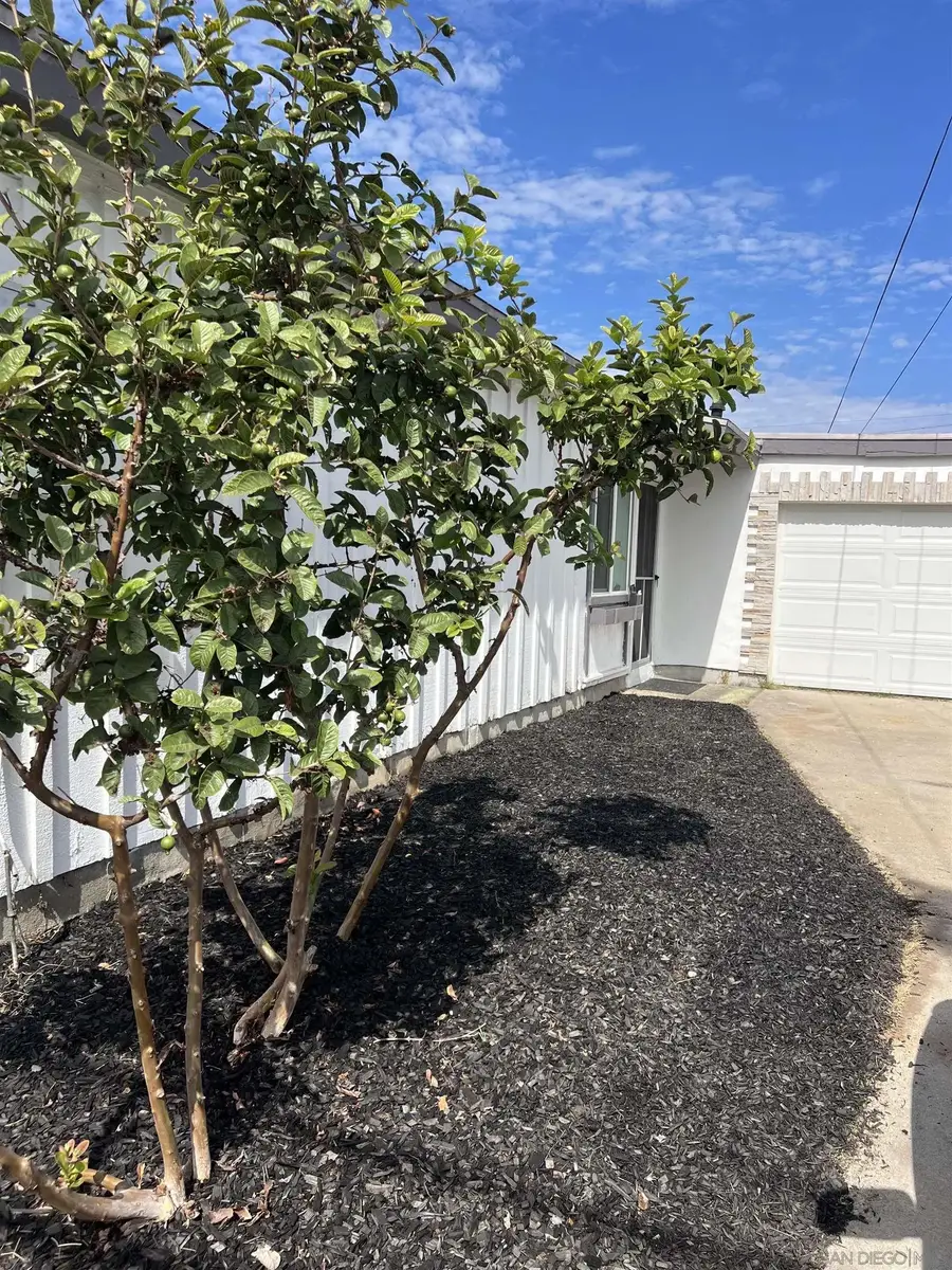 3822 Conrad Ave, San Diego, CA 92117 - Image #3