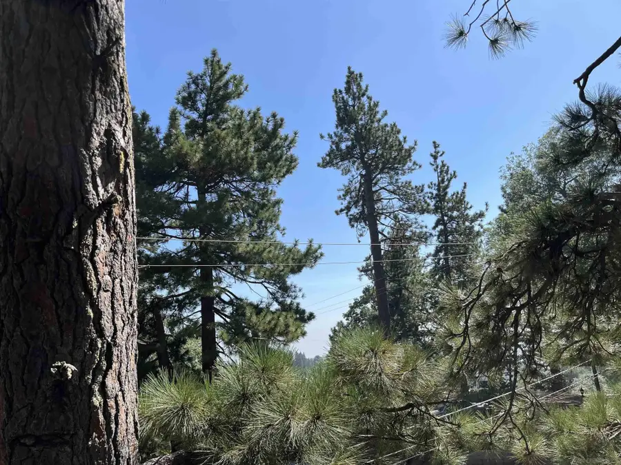 30582 Ferndale, Running Springs, CA 92382 - Image #3