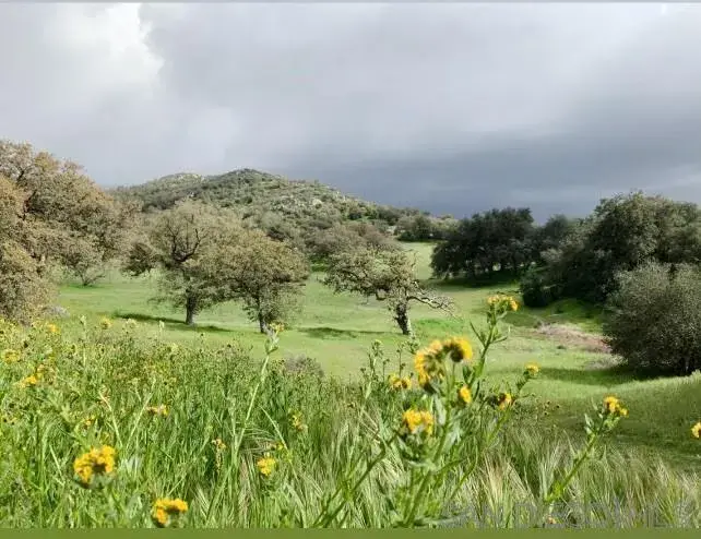 0000 Tule Springs Road, Julian, CA 92036 - #1