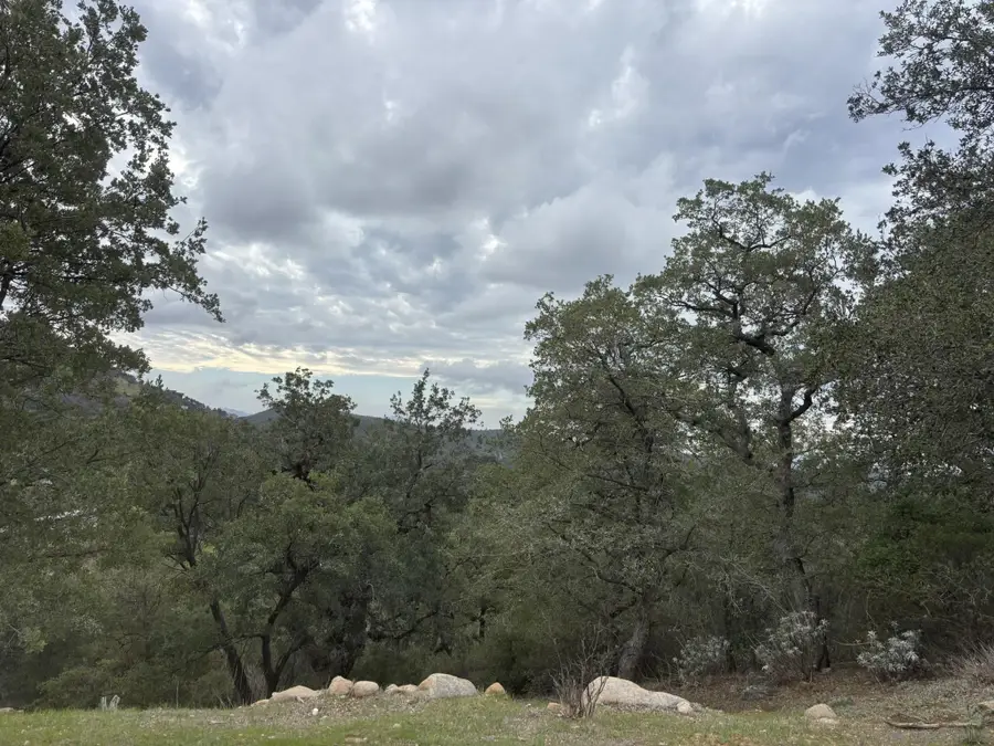 7317 Starlight Way, Julian, CA 92036 - #3