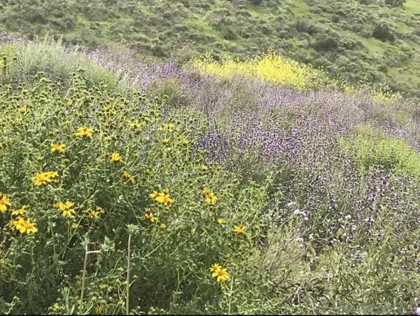 35109 Highway 79 #178 #178, Warner Springs, CA 92086