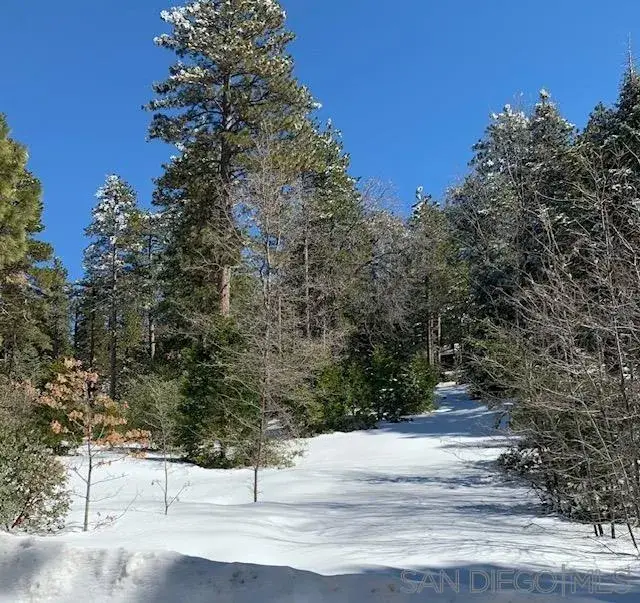 00 Laurel Trail #Lot 7, Idyllwild Pine Cove, CA 92549 - #1