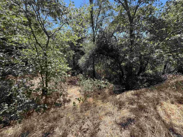 0 Whispering Pines Drive #186, Julian, CA 92036