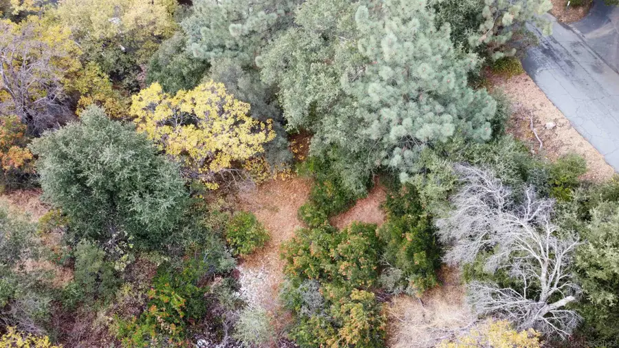 0 Whispering Pines Drive #186, Julian, CA 92036 - #3