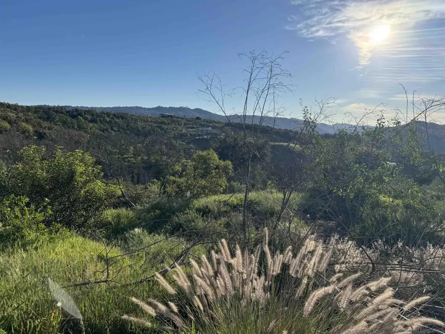 30421 Castle Crest #40, Valley Center, CA 92082 - #2