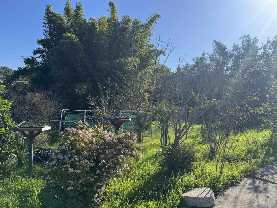 9317 Lamar Street, Spring Valley, CA 91977 - #3