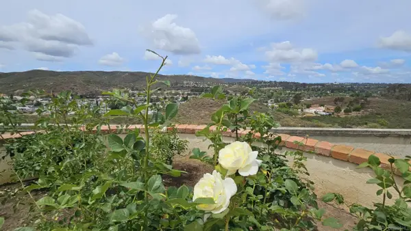 13944 Arbolitos, Poway, CA 92064