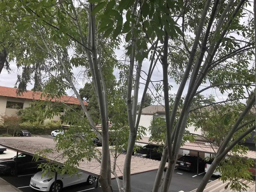 1361 Caminito Gabaldon #D, San Diego, CA 92108 - #2