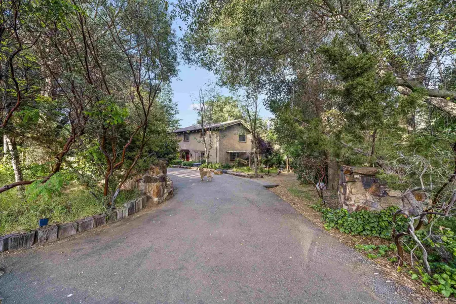 24312 Central Ave, Descanso, CA 91916 - #3