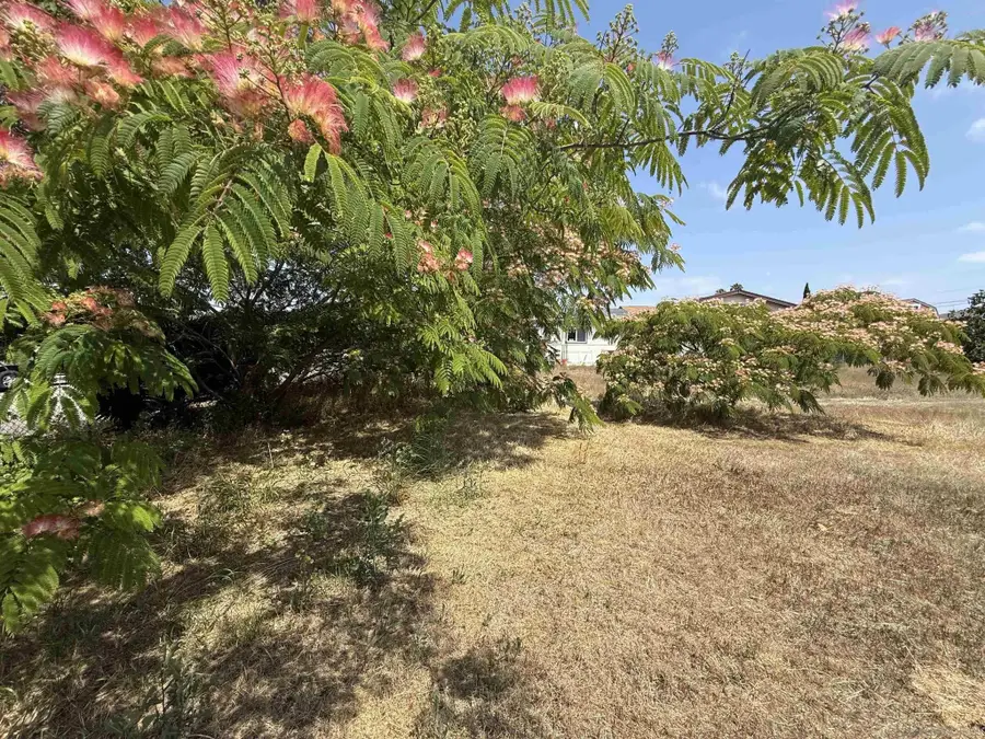 921 Beech Ave #921, Chula Vista, CA 91911 - #3