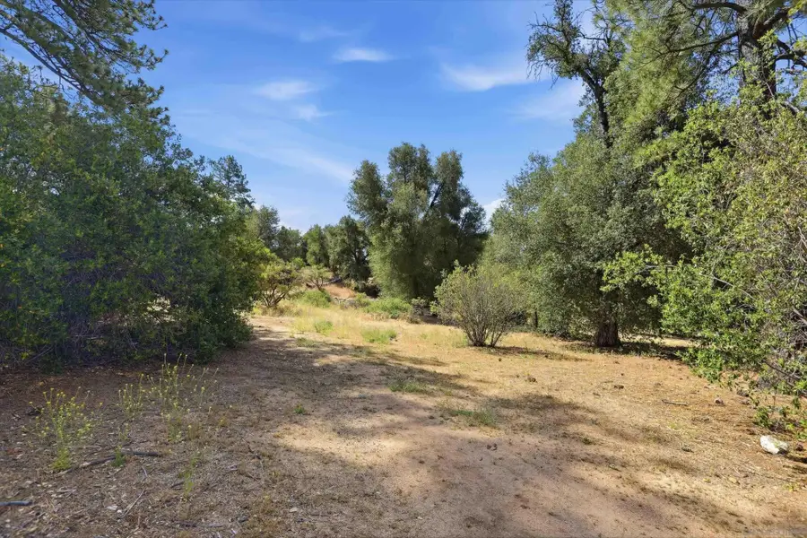 8505 Foothill Blvd #006479, Pine Valley, CA 91962 - #3