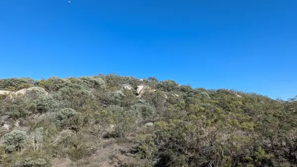 778 Lot on Crazy Horse Canyon #778, Aguanga, CA 92536