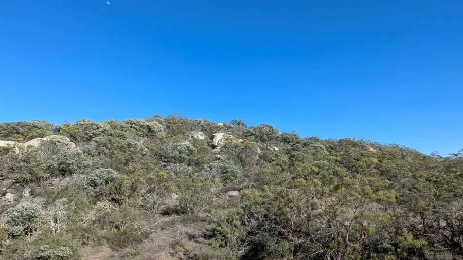 778 Lot on Crazy Horse Canyon #778, Aguanga, CA 92536 - #2