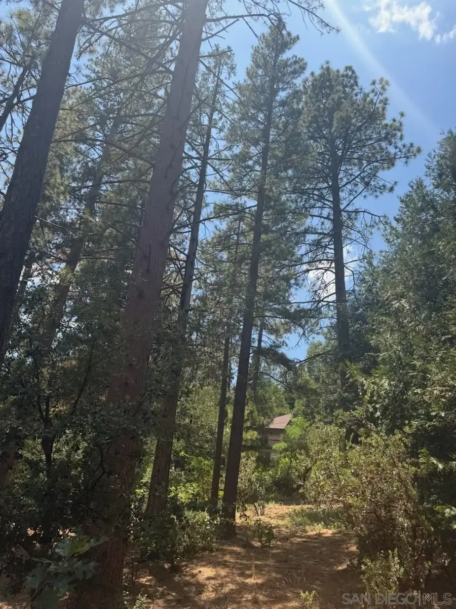 00 Big Pine, Idyllwild, CA 92549 - #2