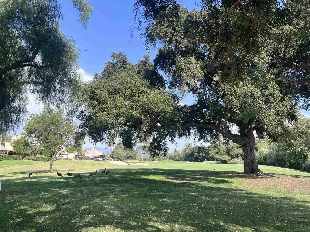 23621 Country Villa Rd, Ramona, CA 92065 - #1