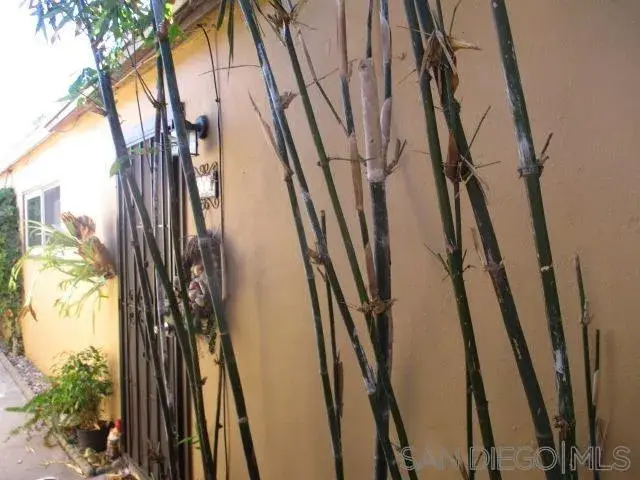 5022-5028 Voltaire Street, San Diego, CA 92107 - #2