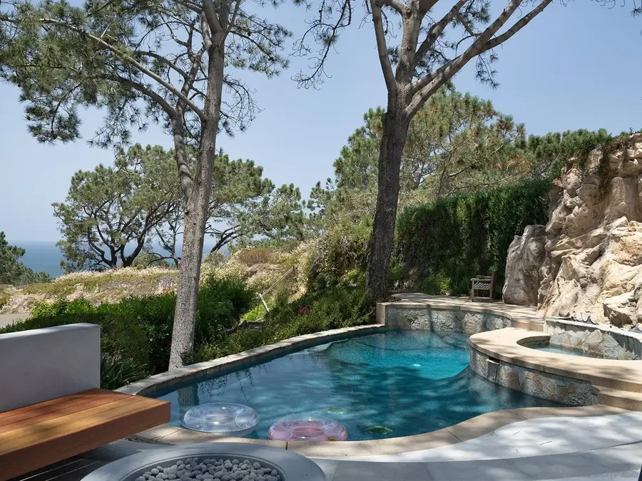390 Hidden Pines Rd, Del Mar, CA 92014 - #3