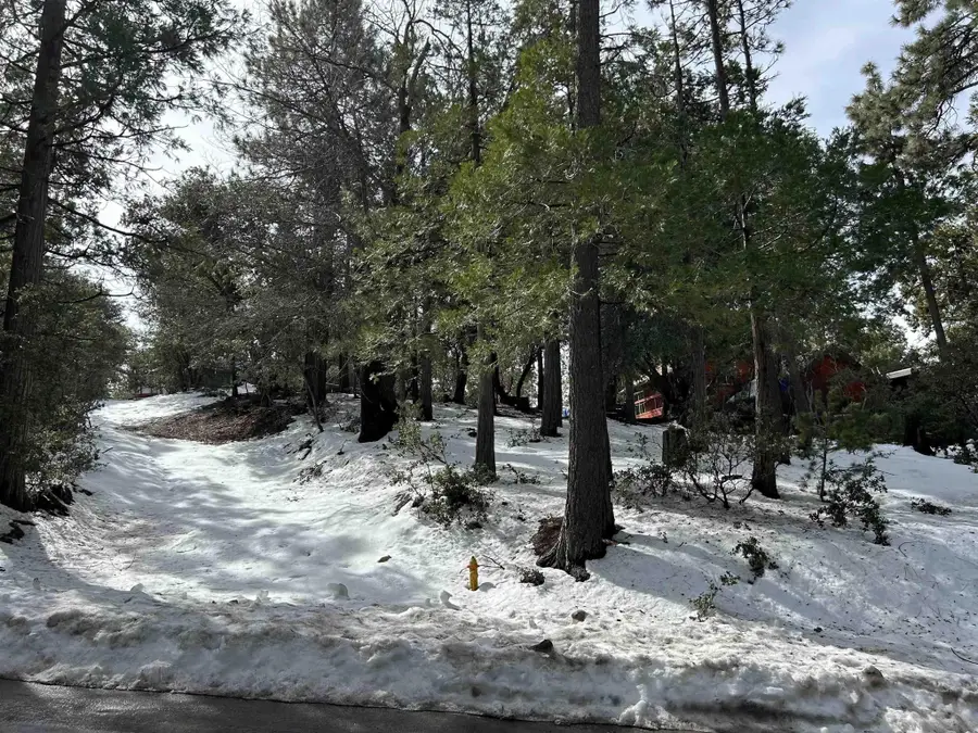 Lot 8 Saunders Meadow Road #8, Idyllwild, CA 92549 - #2