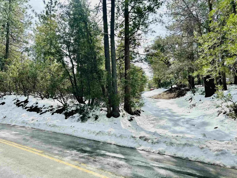 Lot 8 Saunders Meadow Road #8, Idyllwild, CA 92549 - #3