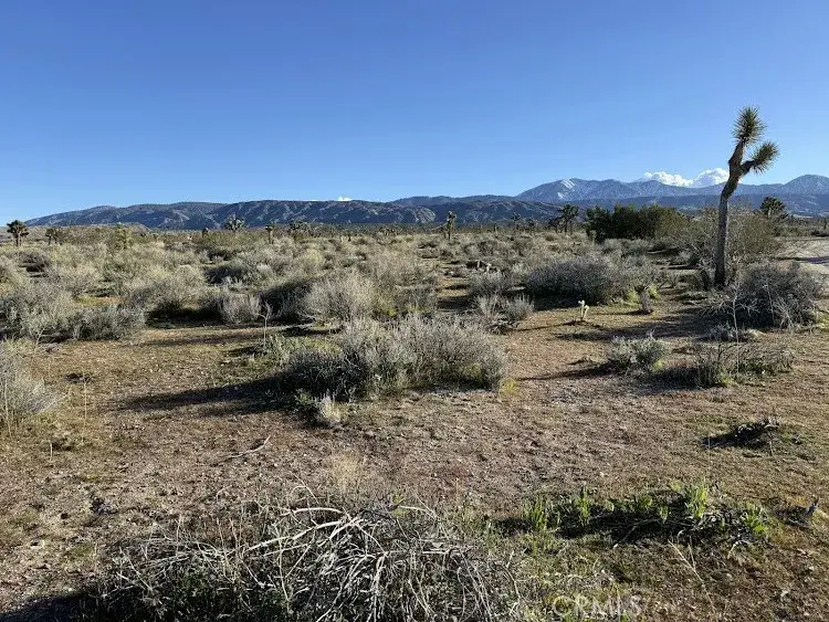 206 Vic Ave, Llano, CA 93544 - #1