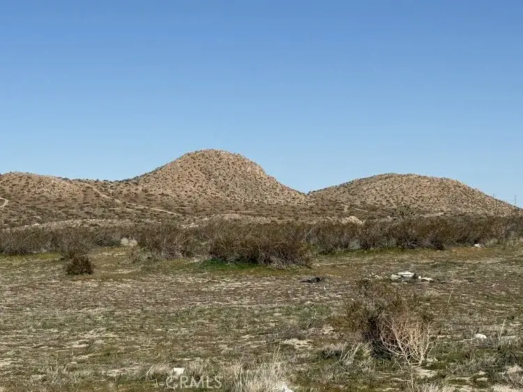 206 Vic Ave, Llano, CA 93544 - #2