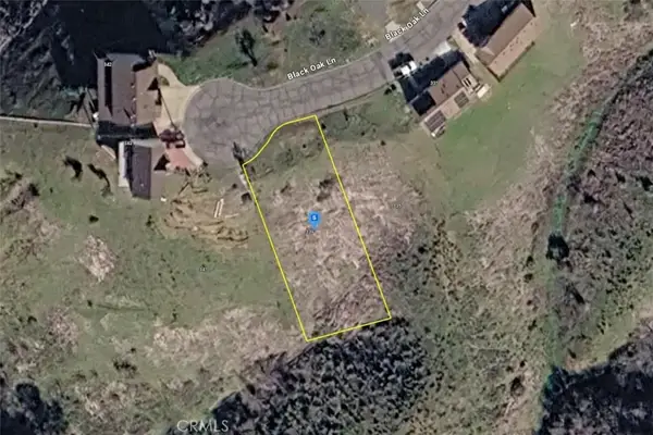 339 Black Oak, Napa, CA 94558