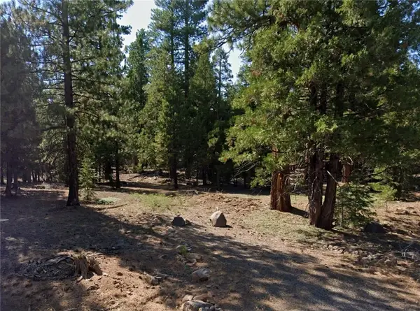 0 Bison Rd, Alturas, CA 96101