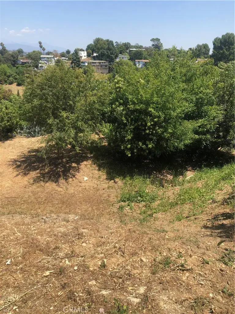 923 Alegre, Los Angeles, CA 90065 - #2
