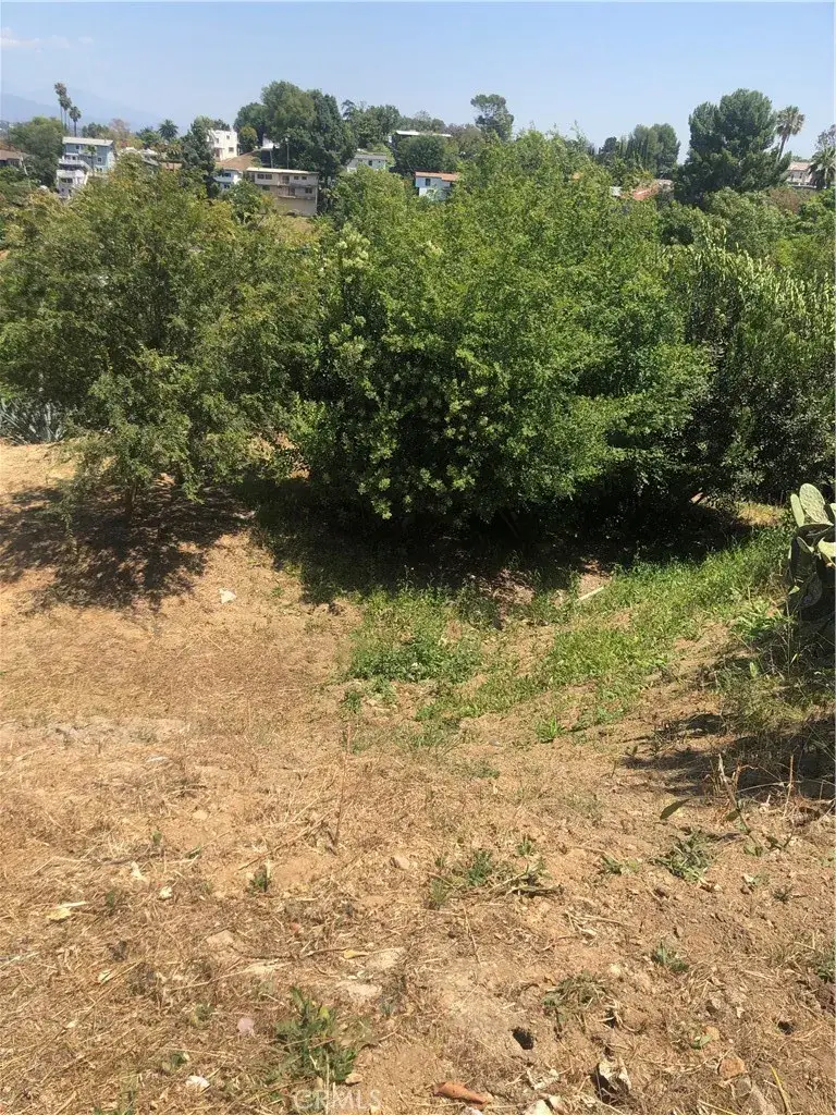 923 Alegre, Los Angeles, CA 90065 - #3