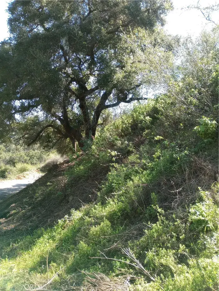 0 Old Chimney, Malibu, CA 90265 - #3
