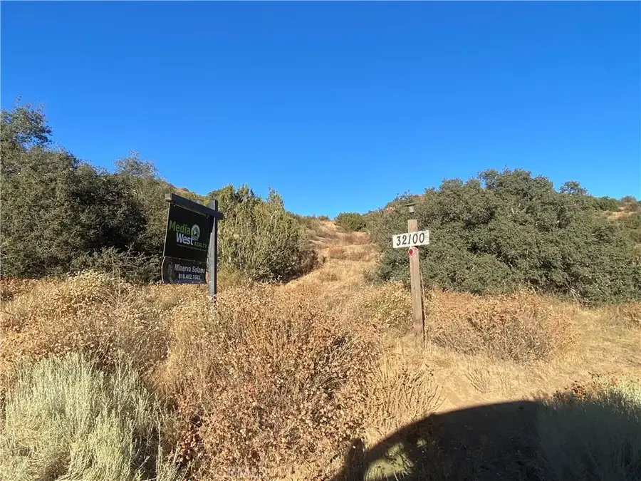 32100 Hughes Canyon, Acton, CA 93510 - #3