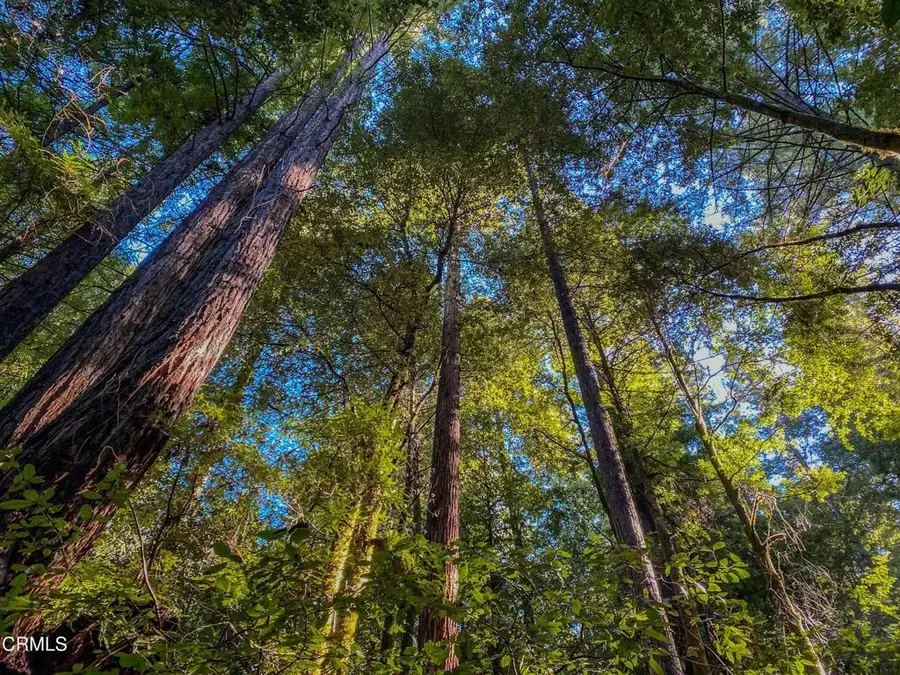 0 Irmulco, Willits, CA 95490 - #3