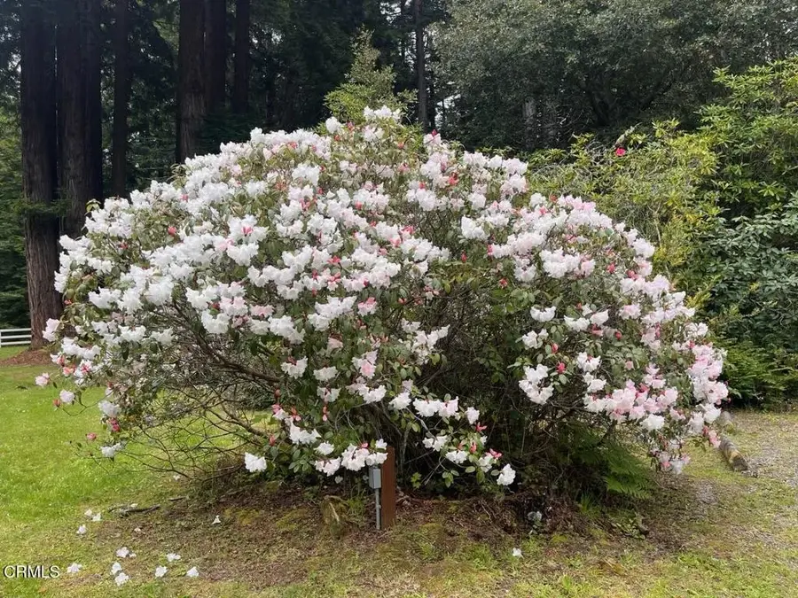 19701 Noyo Acres Drive, Fort Bragg, CA 95437 - Image #3