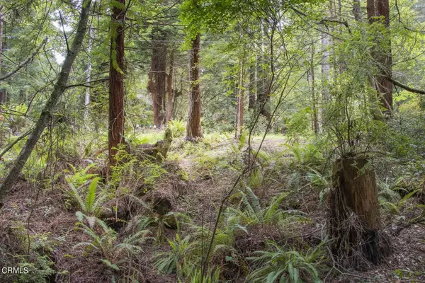 32100 Forest, Fort Bragg, CA 95437