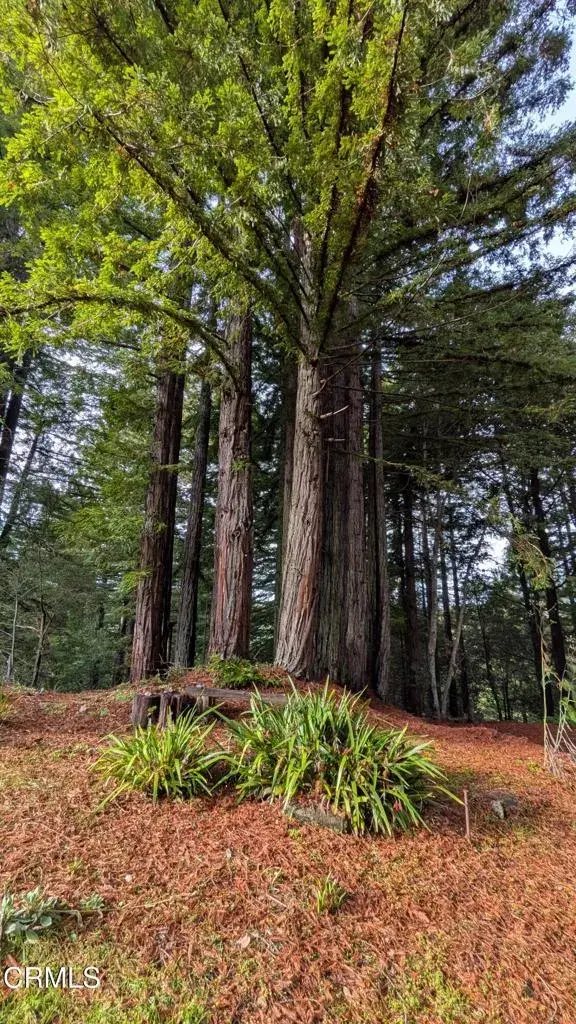 19800 Appaloosa, Navarro, CA 95463 - #3