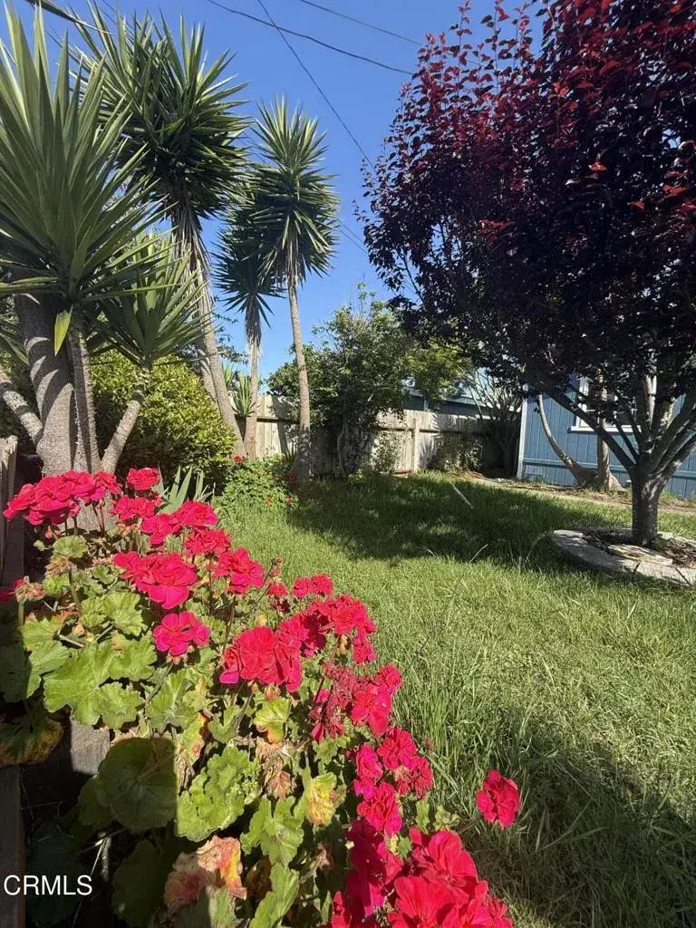 1361 E Oak Street, Fort Bragg, CA 95437 - #1