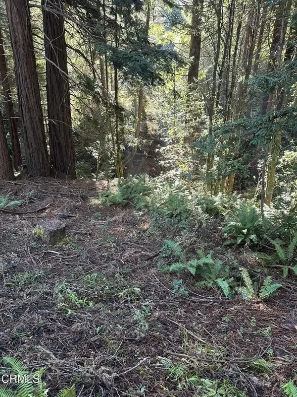 17500 Redwood Springs, Fort Bragg, CA 95437