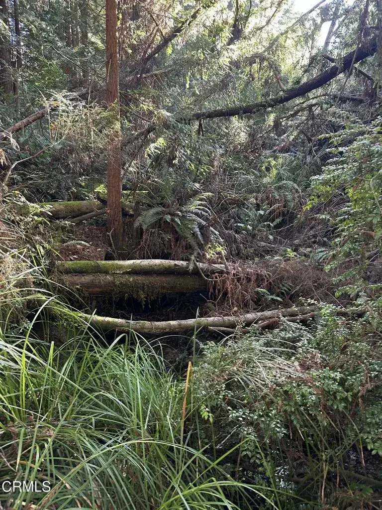 17500 Redwood Springs, Fort Bragg, CA 95437 - #2