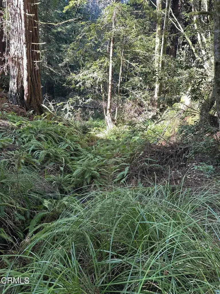 17500 Redwood Springs, Fort Bragg, CA 95437 - #3