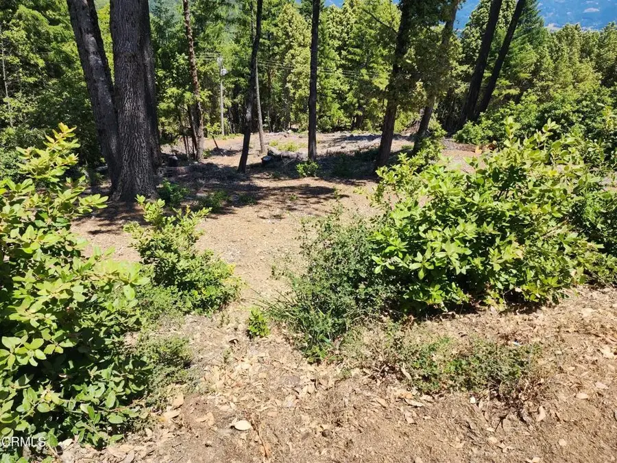 4350 Cahto Peak, Laytonville, CA 95454 - #2