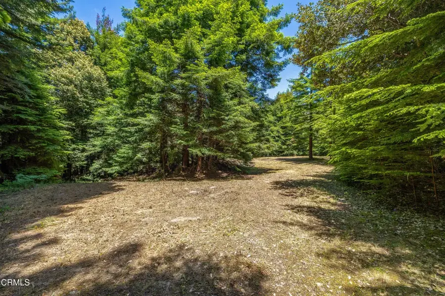 15620 Shane, Fort Bragg, CA 95437 - #2