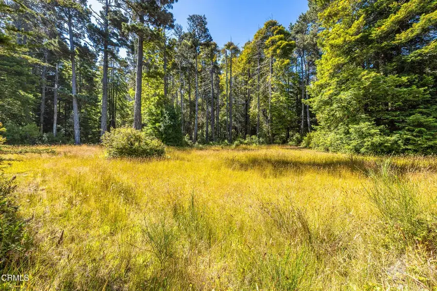 32401 Creekside, Fort Bragg, CA 95437 - #2