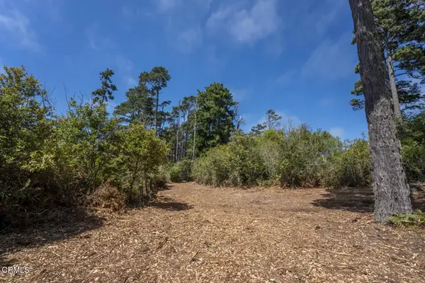 17898 Georges, Fort Bragg, CA 95437