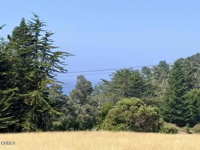 44861 Baywood, Mendocino, CA 95460 - #3