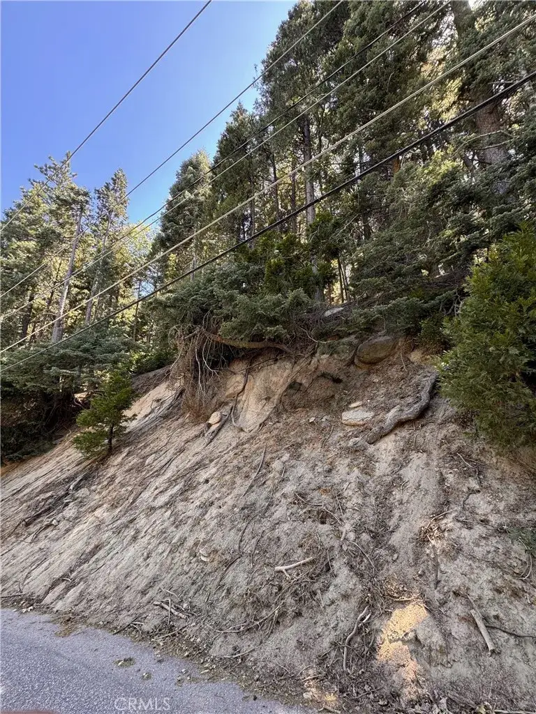 24355 Albrun, Crestline, CA 92325 - Image #3