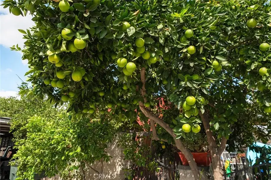 6757 Clifford, Riverside, CA 92504 - Image #3