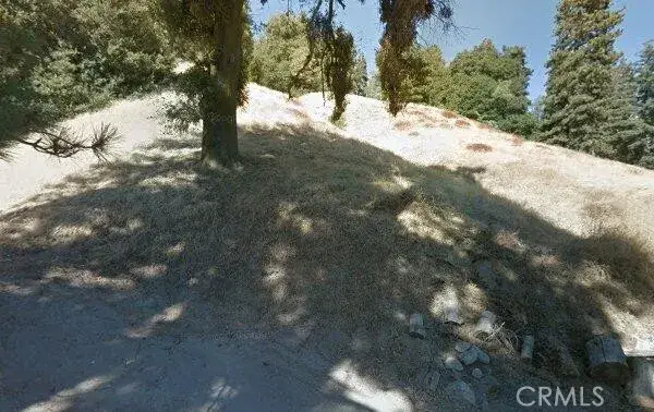 0 Burnt Mill Canyon, Cedarpines Park, CA 92322 - Image #3