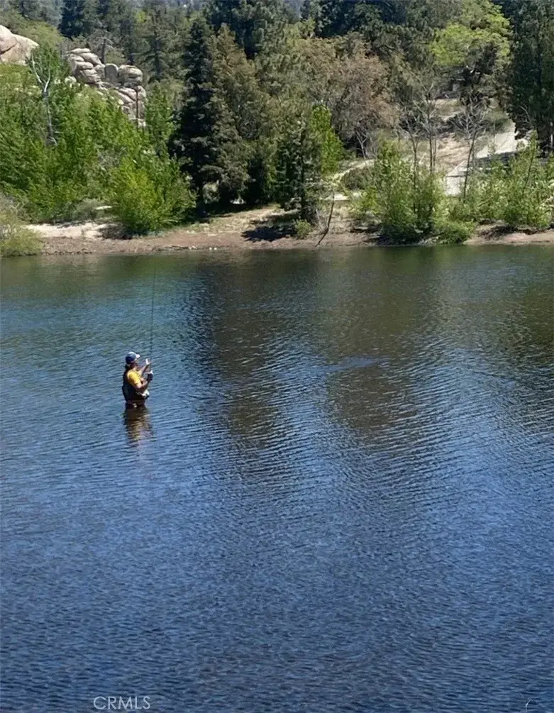 33303 Lake View Drive, Running Springs, CA 92382 - Image #2